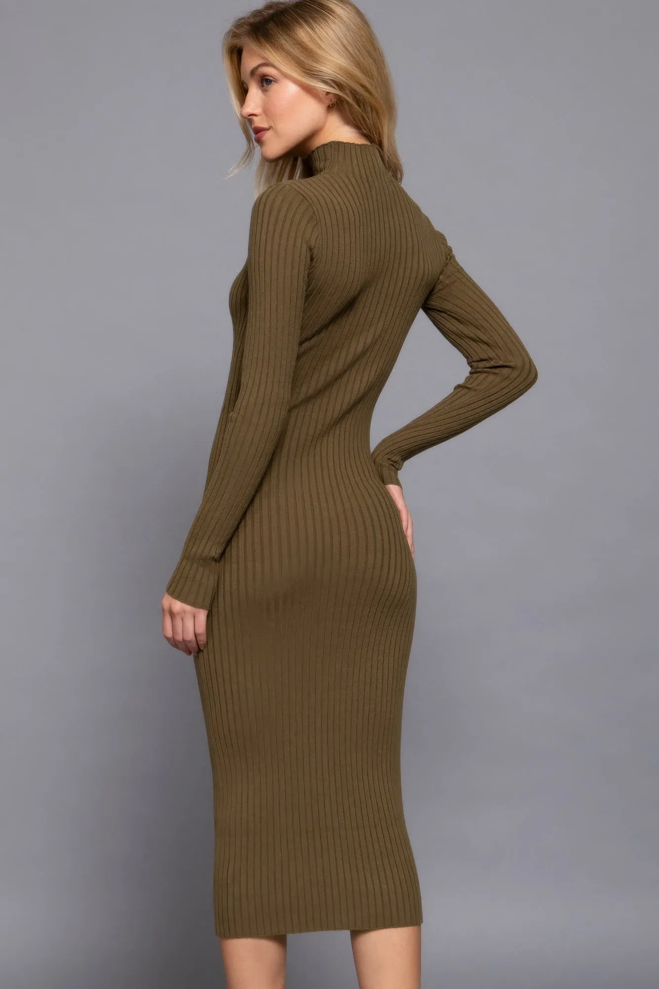 Blue Zone Planet |  Long Sleeve High Neck Sweater Long Dress