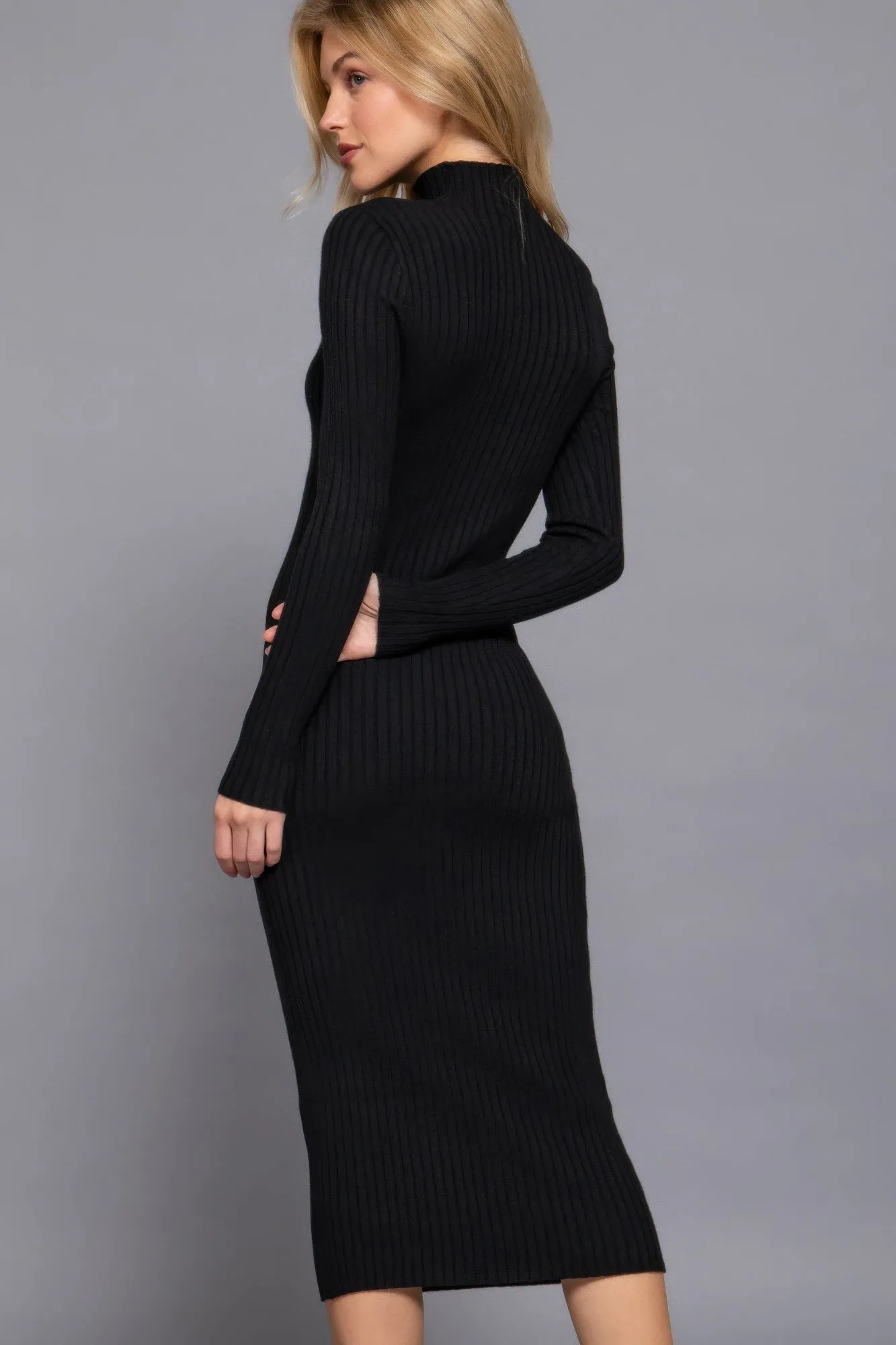 Blue Zone Planet |  Long Sleeve High Neck Sweater Long Dress