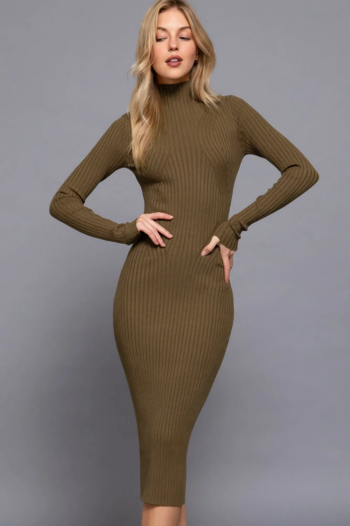 Blue Zone Planet |  Long Sleeve High Neck Sweater Long Dress