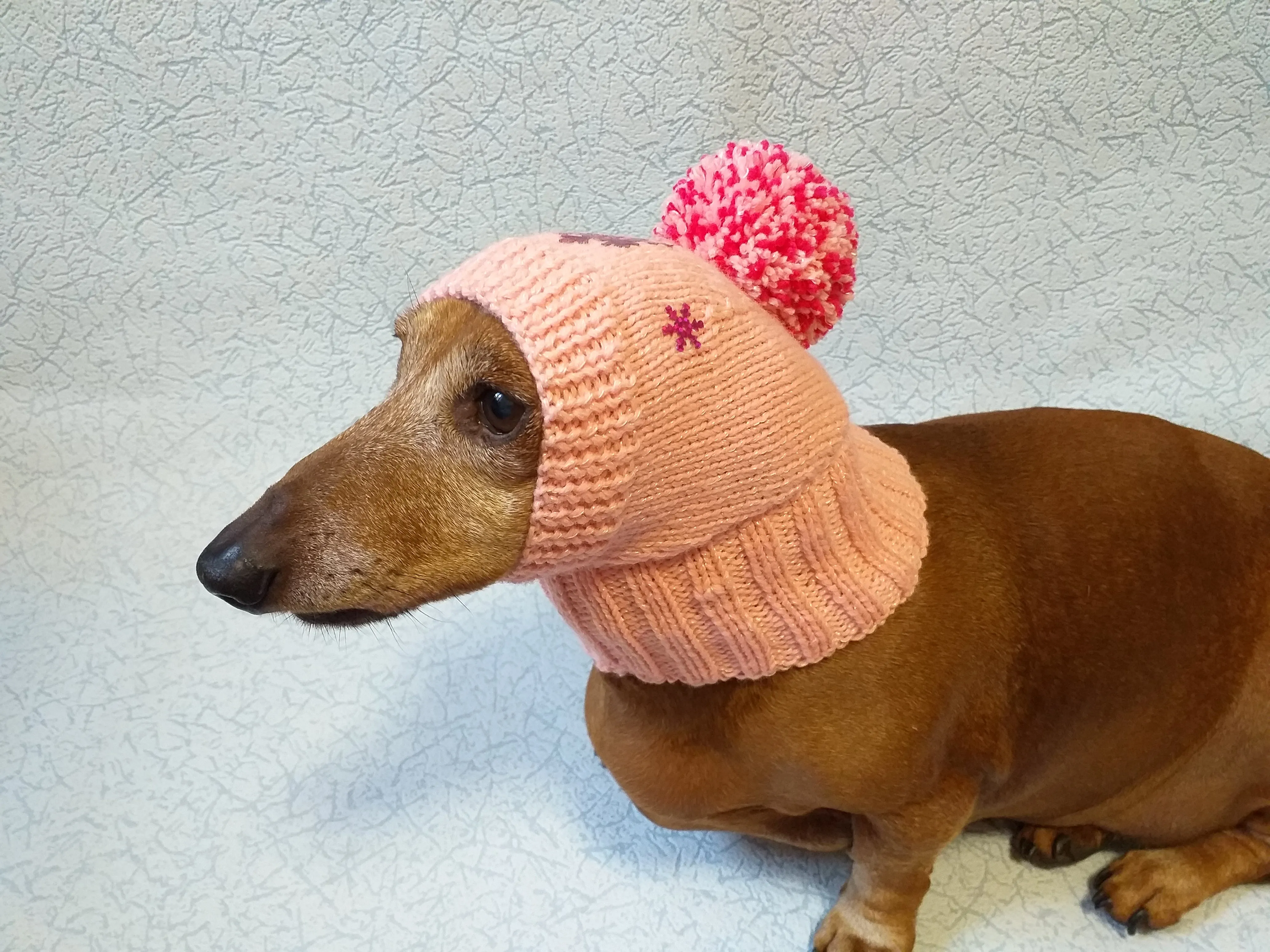 Dachshund christmas snowflake hat with big pompom, christmas clothes dachshund, miniature dachshund