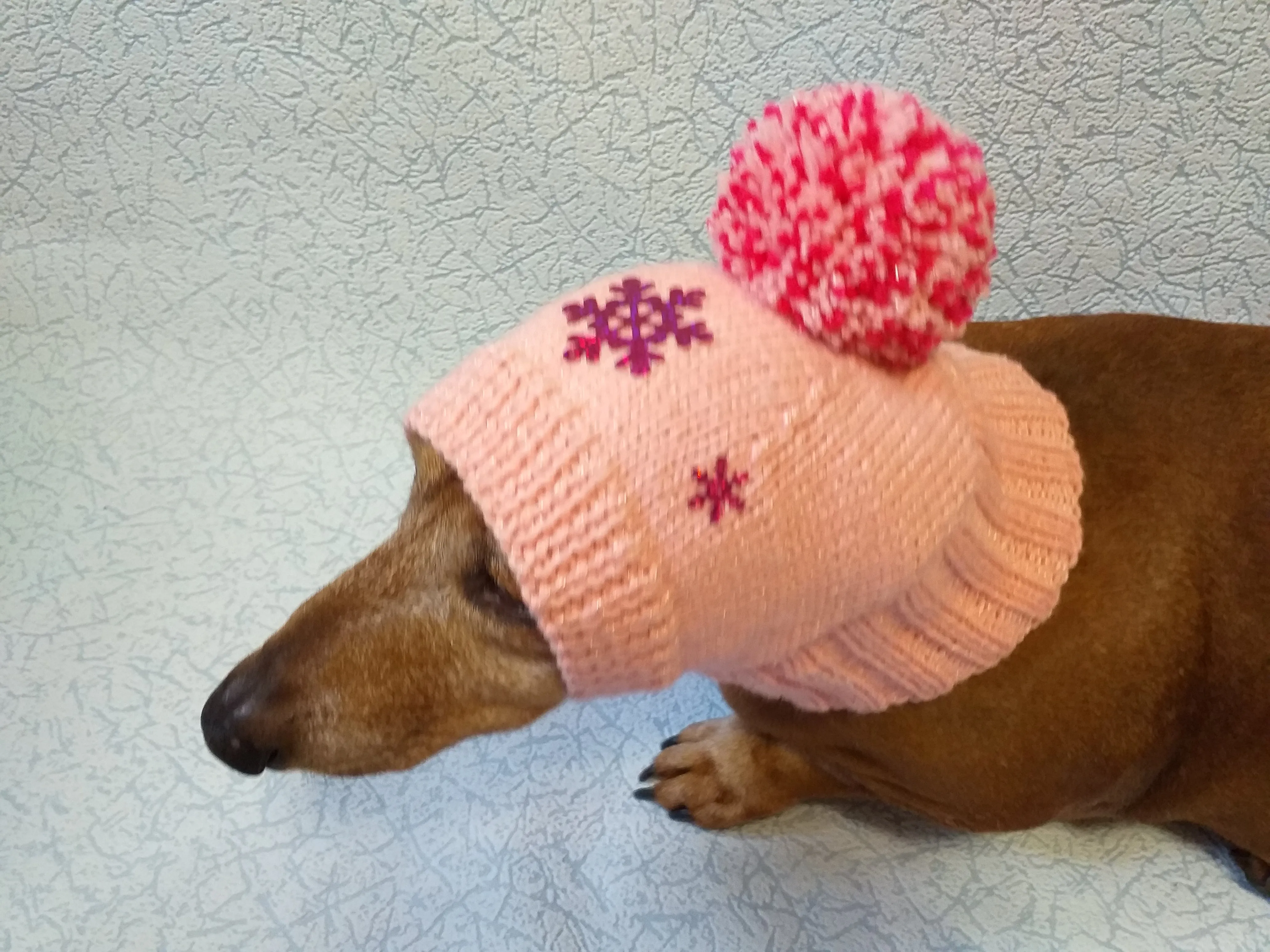 Dachshund christmas snowflake hat with big pompom, christmas clothes dachshund, miniature dachshund