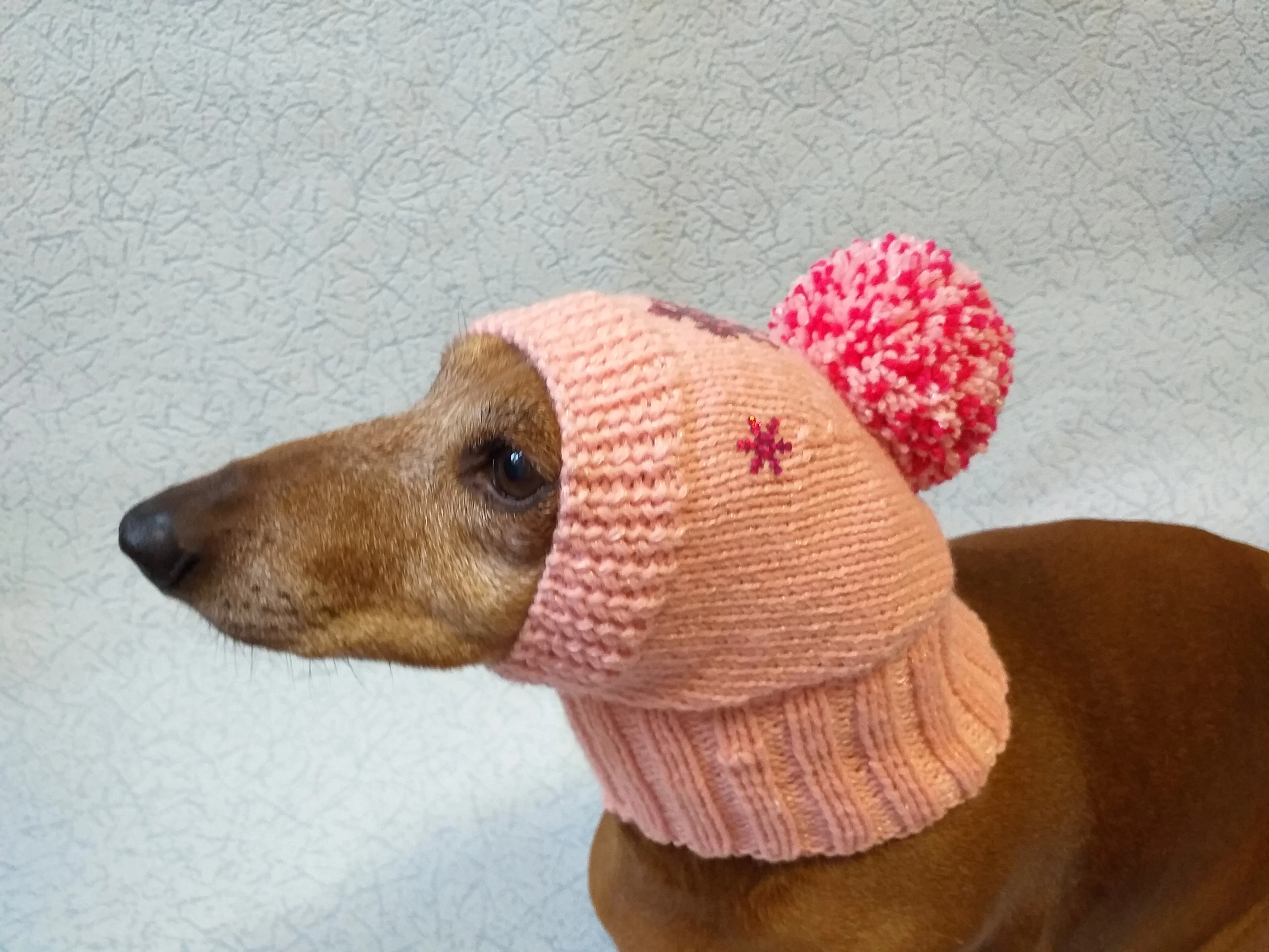 Dachshund christmas snowflake hat with big pompom, christmas clothes dachshund, miniature dachshund