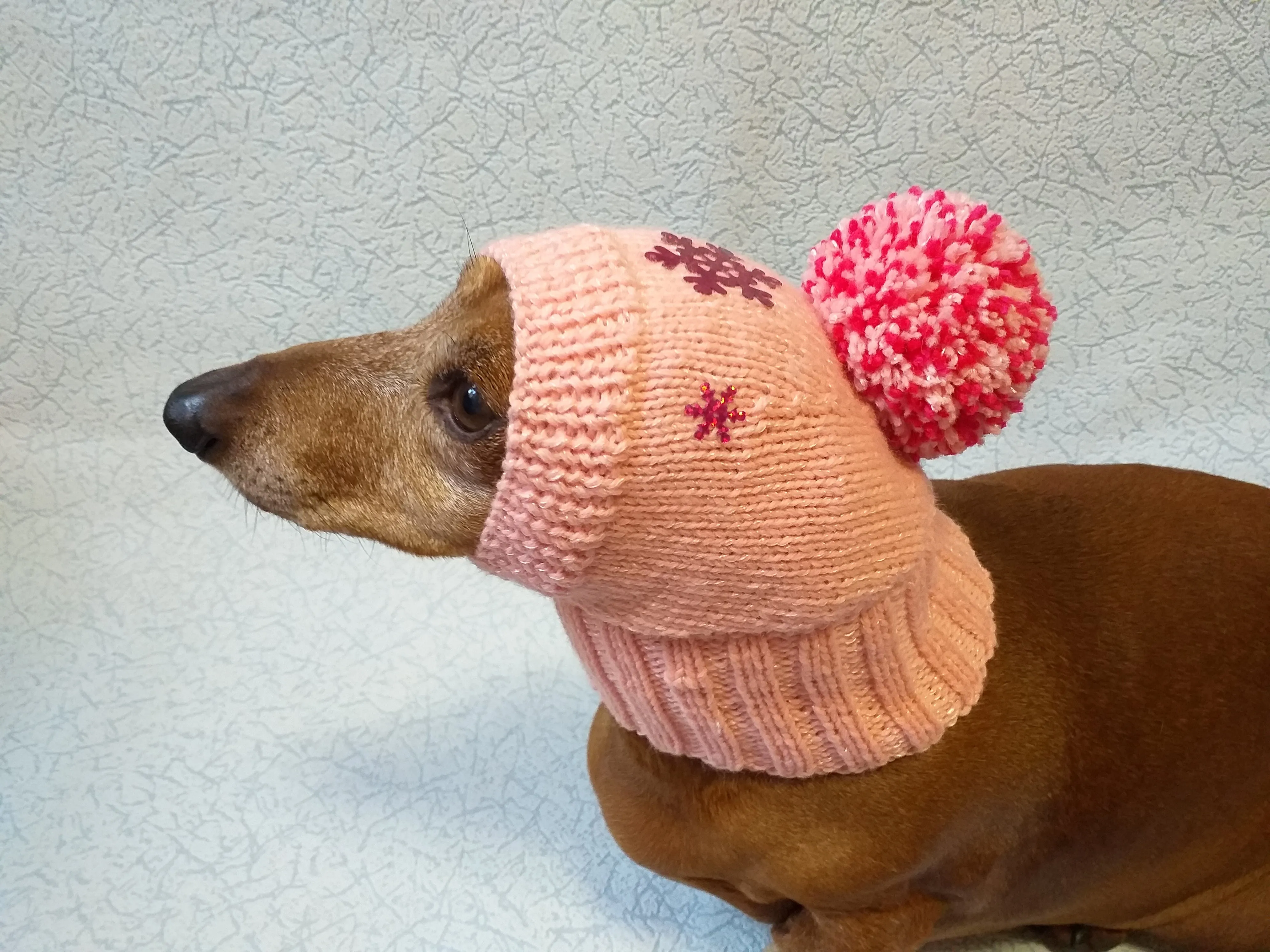Dachshund christmas snowflake hat with big pompom, christmas clothes dachshund, miniature dachshund