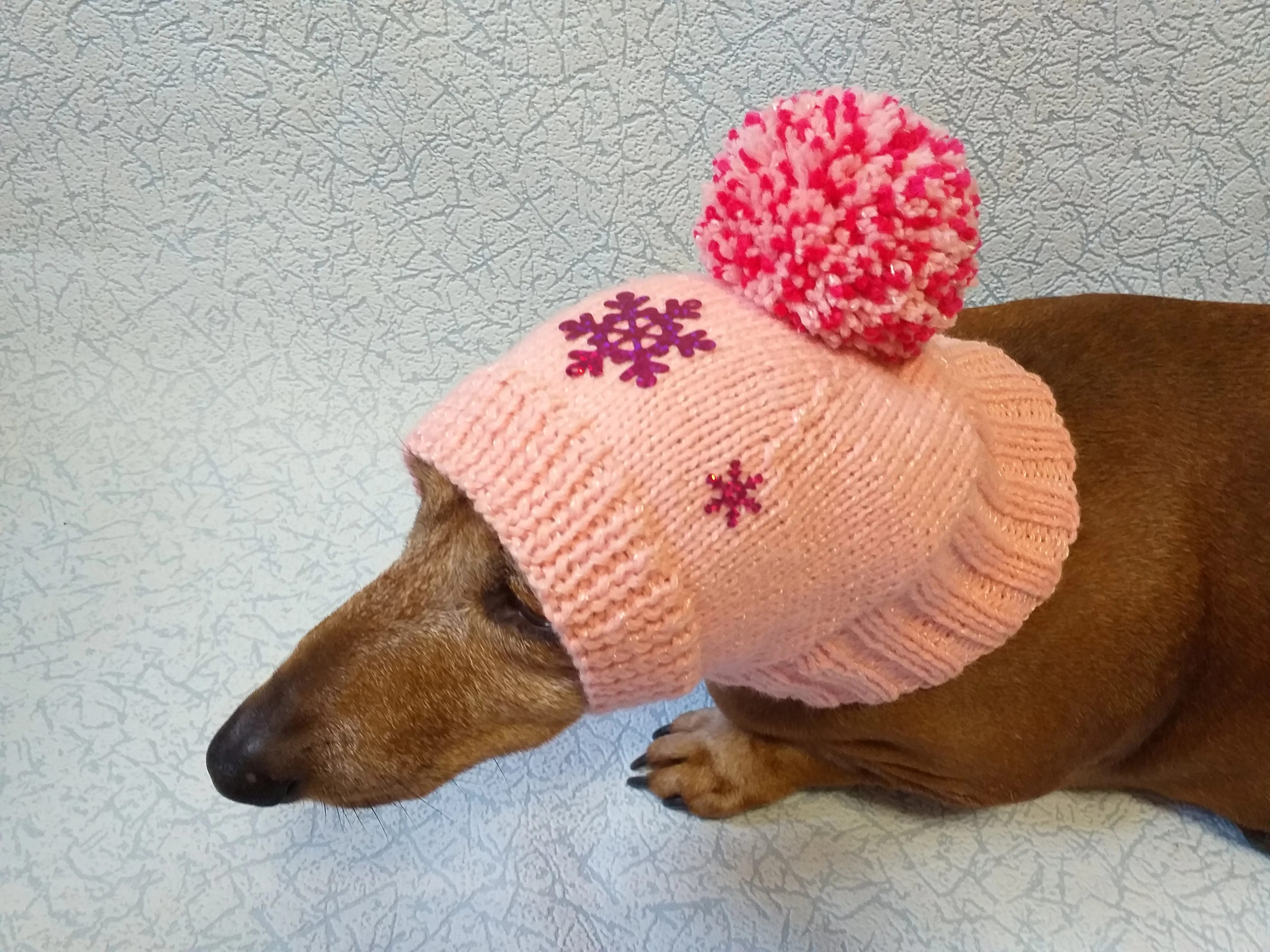 Dachshund christmas snowflake hat with big pompom, christmas clothes dachshund, miniature dachshund