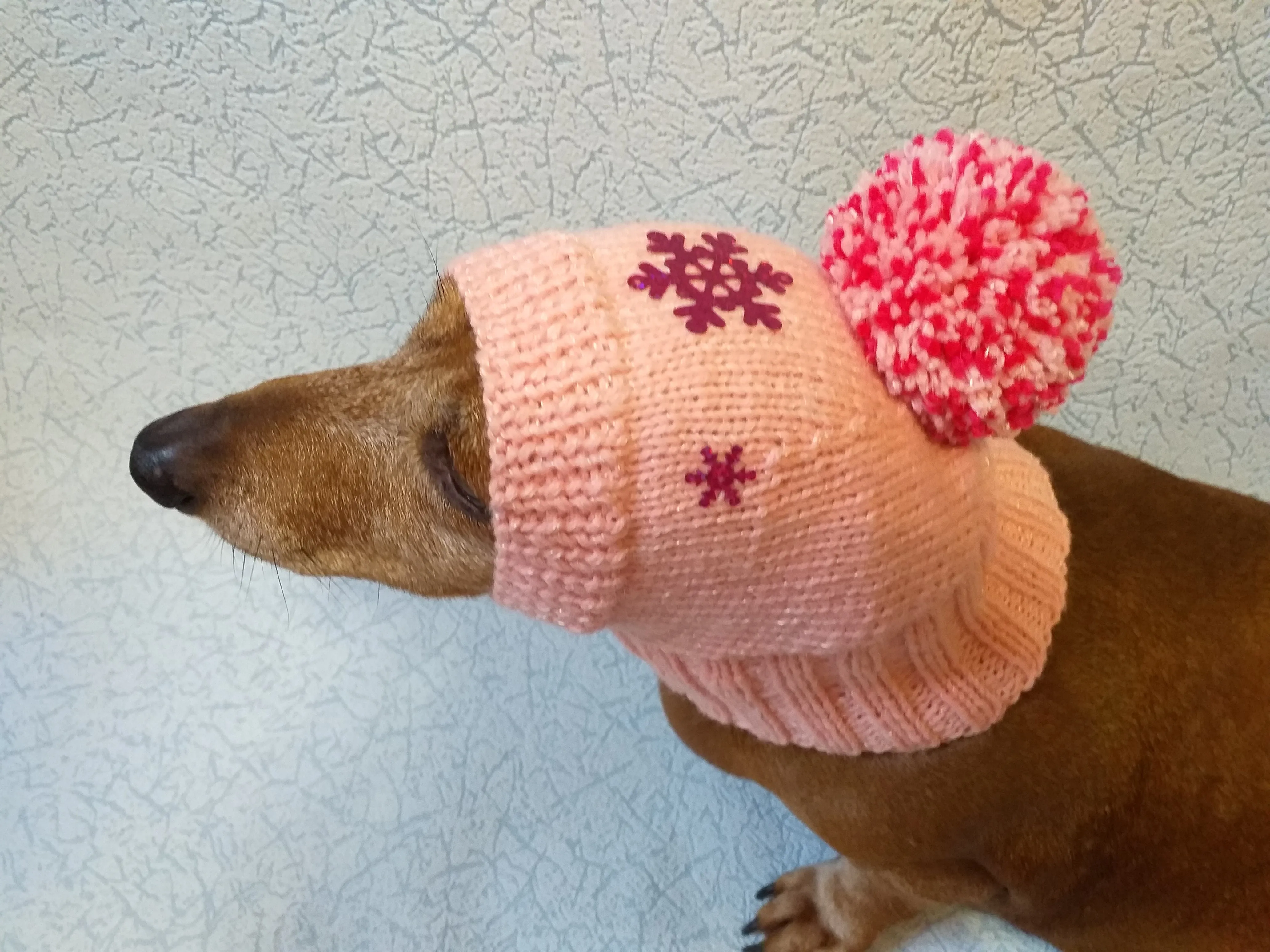 Dachshund christmas snowflake hat with big pompom, christmas clothes dachshund, miniature dachshund