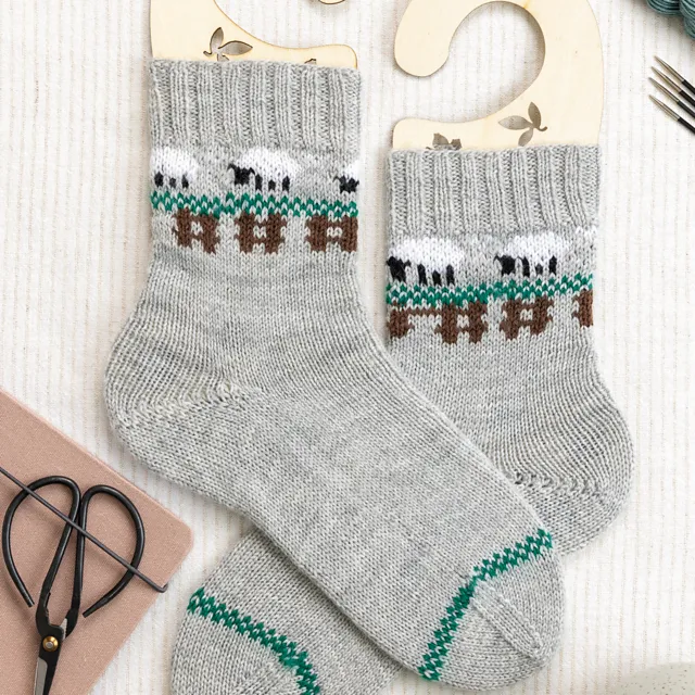 Knit a Box of Socks by Julie Ann Lebouthillier