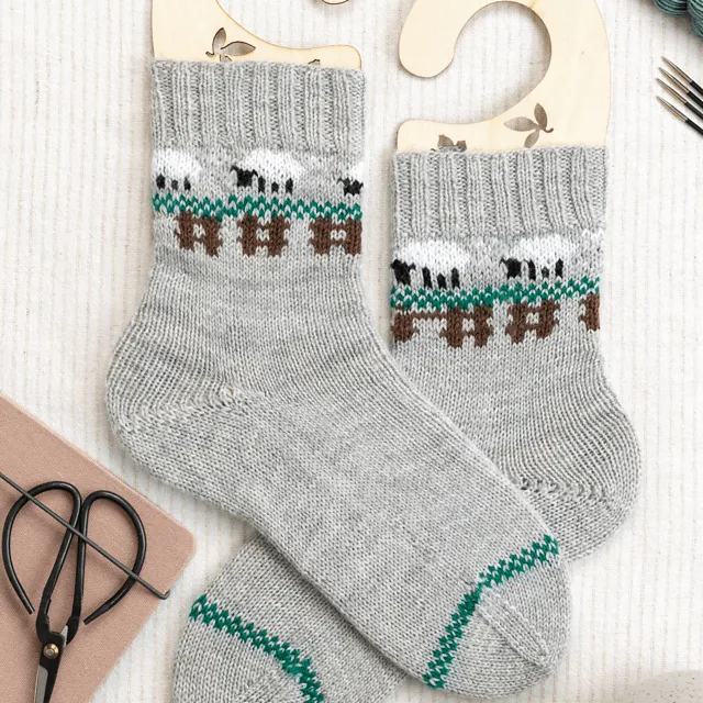 Knit a Box of Socks by Julie Ann Lebouthillier