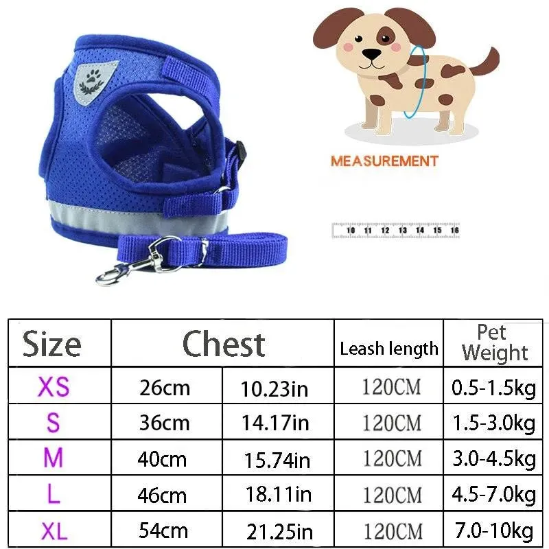 Reflective Safety Pet Harness and Leash Set